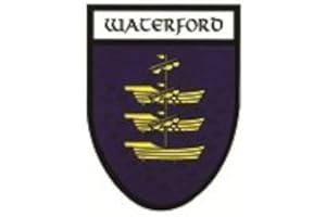 EUROSTICK Waterford Irish County Crest Shield Car Bike Sticker Decal Northern Ireland