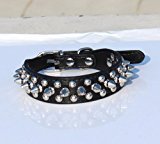 Preisvergleich Produktbild elegantstunning Hundehalsband für kleine Hunde anti Biss Nietkragen Hundebedarf