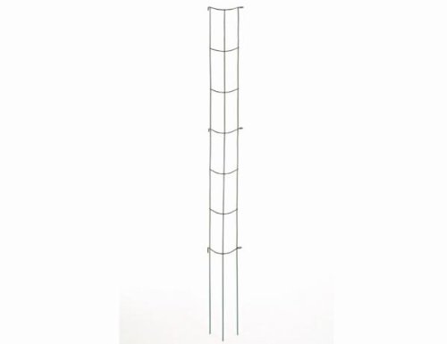 Avalon 7071 Tomaten- und Gemüse-Rankturm 148 cm grün