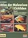 Produktbild Atlas der Malawisee Cichliden 1. 2 CD- ROM für Windows ab 95. Alticorpus macrocleithrum - Pallidochromis tokolosh