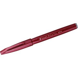 Preisvergleich Produktbild Pentel 10 x Faserschreiber SignPen braun