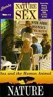 Preisvergleich Produktbild Sex & the Human Animal [VHS]
