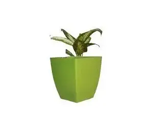 Vimal Sturdy and Durable Plant Pot, Durable Polypropylene Material with Bright and Attractive Color Pot, Marbel Finish Square Shape Flower Pots for Indoor or Outdoor Gardening - Green
