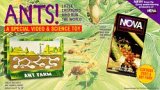 Preisvergleich Produktbild Ants [VHS]