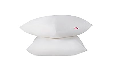 Abeil Oreiller Classique Dourêve Absolu Lot de 2 oreillers 60 x 60 cm