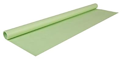Exacompta Clairefontaine Rouleau Papier Kraft 3X0.70M Vert Bourgeon