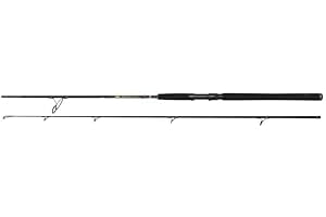 Penn Wrath II Spin 10ft 20-80g 2 Piece, Carbon Graphite, Saltwater Lure Fishing Rod, EVA Handle, Stainless Steel Titanium Oxide Guides, Fast Action, Long Casting, Code 1581632.