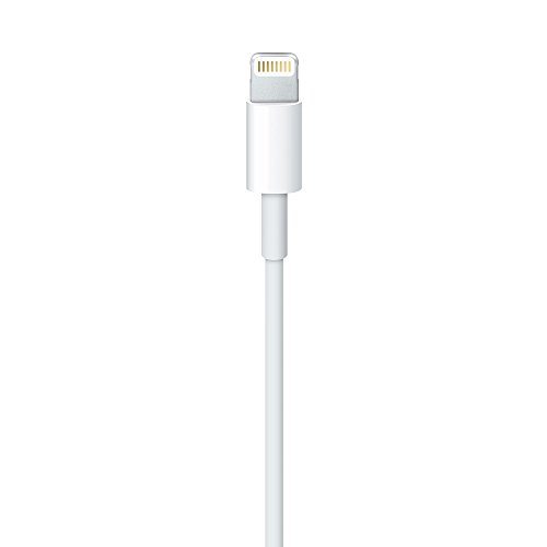 Apple ME291ZM A C  ble Lightning vers USB pour iPhone iPad iPod 0 5 m