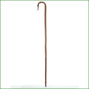 Walking Stick Chestnut Shepherd's Crook : Amazon.co.uk: Health ...