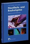 Hausfäule- und Bauholzpilze: Diagnose und Sanierung