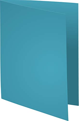 Exacompta 850000E - Lote de 250 Subcarpetas Super 60 Colores Surtidos reviews Exacompta 850000E - Lote de 250 Subcarpetas Super 60 Colores Surtidos