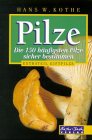 Download Pilze