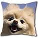 Pillow Cases, animals dogs pomeranian patterned square pillow cover
