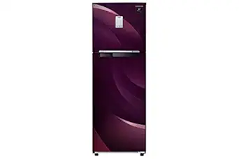 Samsung 255 L 3 Star Frost-Free Double Door Refrigerator (RT30T37534R/HL, Rythmic Twirl Plum)