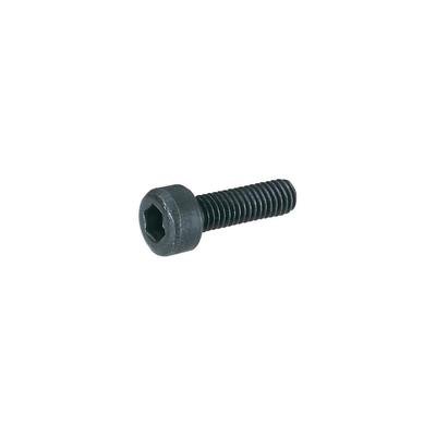 Preisvergleich Produktbild 100ER ZYKO INNEN6KANT DIN 912 M4X12