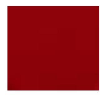PAIR OF PILLOW CASES SET 65CMX65CM-RED