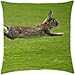 Produktbild rabbit flees - Throw Pillow Cover Case (18