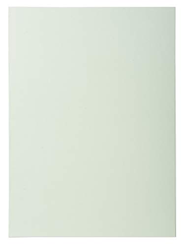 Exacompta 850000E - Lote de 250 Subcarpetas Super 60 Colores Surtidos reviews Exacompta 850000E - Lote de 250 Subcarpetas Super 60 Colores Surtidos