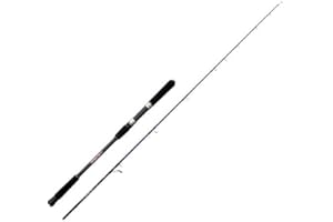 NOMURA Popper Special SW 2.40 m 50-70 lbs-150 g Canna da Pesca a Spinning Ideale per Tutti i Pesci Predatori Sia in Mare Che Fiume e Lago