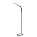 Produktbild Tageslicht Stehlampe 1460 Lux, 6400 Kelvin Farbtempetratur, Lampenkopf verstellbar, Gesamthöhe 155 cm, Kabellänge 180 cm (Silber)