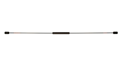 Original Flexi-Bar Schwungstab + DVD Einführung & Übungen + Trainingsplan