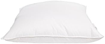Surrey Down Goose Down Square Pillow, White