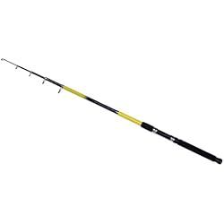 Shakespeare Beta noir - Caña de pesca de lanzado (principiantes, aluminio, telescópico, spinning, 10 pies (3,05 m), 2 secciones), color negro, talla 10 Ft