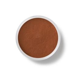 bareMinerals Warmth All Over Face Color .57 grams Bare Minerals BareEscentuals