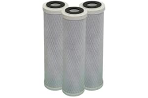 Desineo Lot de 3 Cartouches Charbon Actif + sédiment 5 microns pour Porte Filtre 10 Pouces