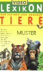 Preisvergleich Produktbild Videolexikon der kleinen und großen Tiere 3 [VHS]