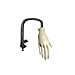 Practice hand / Nailtrainer with Table holder