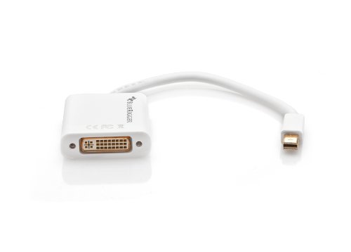 BlueRigger Mini Displayport (Thunderbolt) zu DVI Female Adapter-Kabel
