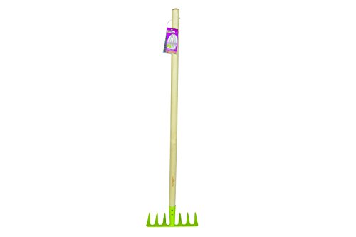Preisvergleich Produktbild Eichhorn 100004580 - Gartenwerkzeug, Rechen, natur