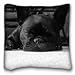 Custom Cotton & Polyester Soft ( Dogs Animal French Bulldog ) Soft Pillow Case Cover 16*16 Inch (One Sides)Zippered Pillowcase suitable for California King-bed PC-Yellow-3365