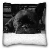 Custom Cotton & Polyester Soft ( Dogs Animal French Bulldog ) Soft Pillow Case Cover 16*16 Inch (One Sides)Zippered Pillowcase suitable for California King-bed PC-Yellow-3365