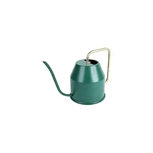 Wonderland 1 Liter Green Metal Watercan for Home use