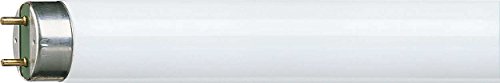 Preisvergleich Produktbild Philips Master TL-D HF Super 80 32 W G13 A + Cool White Fluorescent Bulb – Fluorescent Bulbs (32 W, Tube, T8, G13, 3200 lm, Cool White)