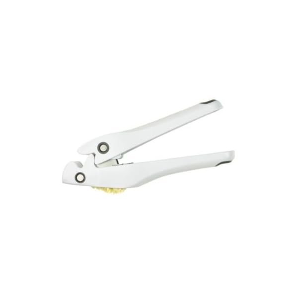 Lakeland Garlic Press No Need to Peel Indian Cook Shop
