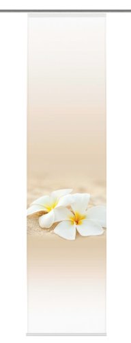 Home fashion 86048-711 Schiebevorhang Digitaldruck "Nancy", natur / 245 x 60 cm Dekostoff-Seidenoptik