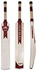 Newbery Triumph G4 Star Cricket Bat (2017) - Short Handle, 2lbs 8oz