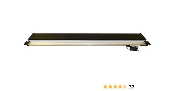 little champ puppy food