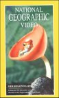 Preisvergleich Produktbild Der Regenwald, 1 Videocassette [VHS]