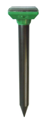 P3 INTERNATIONAL Sol Mate Mole and Gopher Chaser