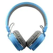 Big Dog Bluetooth Headphones with FM and SD Card Slot (Blue)