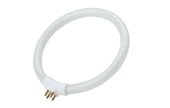 Ampoule Fluorescent 11W FCL/T4 díametro Daylight 12 cm: Amazon.fr ...
