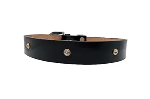 Forever99 Pet Shop Studded Leather Dog Collar Neck Belt for All Stage Breeds Medium 15 to 18 inch Neck for fit Art#-93