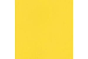 FLAG PAINTS Flag Heavy Duty Anti-Slip Floor Paint | Thermo-acrylic and polyurethane resins | Tough, durable, flexible and long lasting | Yellow | 5 litres