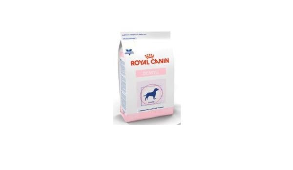 royal canin selected protein kangaroo