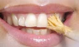 1 x Islamic Miswak / Siwak, natürliche Zahnbürste-günstige und dicken auf eBay! [,]