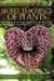 The Secret Teachings of Plants: The Intelligence of the Heart in the Direct Perception of Nature by Stephen Harrod Buhner